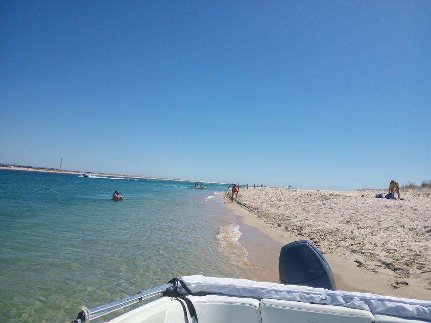 Boat Trip in Ria Formosa 3H