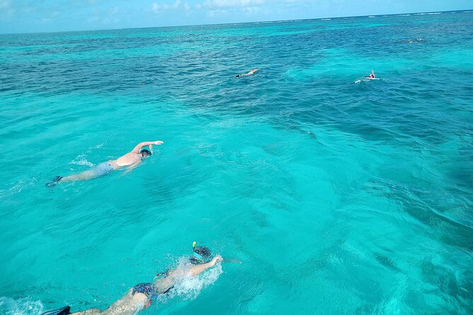 Boat Trip in the Great All-Inclusive Marine Cul-De-Sac