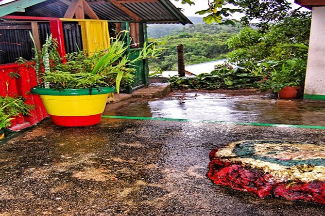 Bob Marley Nine Mile and Dunns River Combo From Ocho Rios - Tour Overview