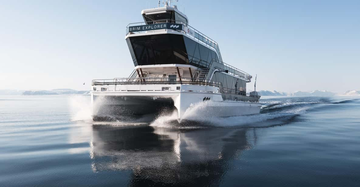 Bodø: Northern Lights Cruise