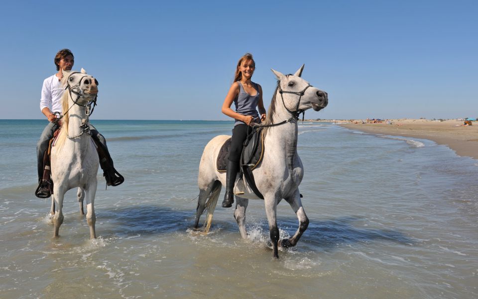 Bodrum: Horseback Riding Experience