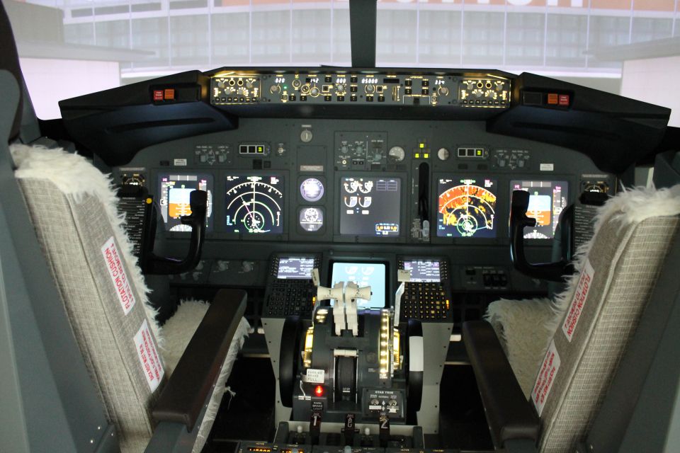 Boeing 737-800 Professional Simulator - 30 Minutes - Simulator Features and Capabilities