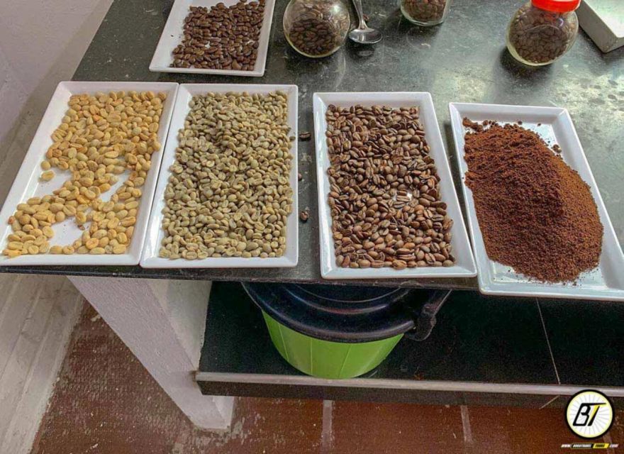 Bogotá: Guided Coffee Tour With Lunch, and Pickup & Drop-Off