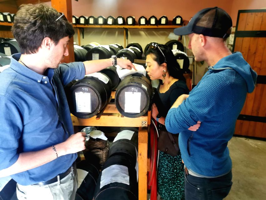 Bologna: Experience of Parmesan, Wine and Balsamic Vinegar