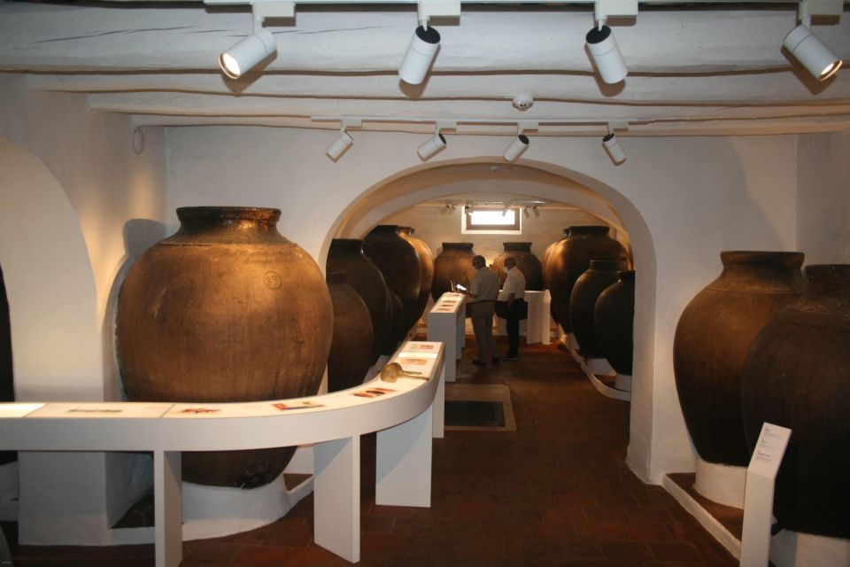 Borba: Winery Tour With Wine and Alentejo Products Tasting - Experience Overview