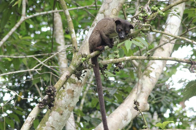 2 Best 2 Day Tours In Sandakan