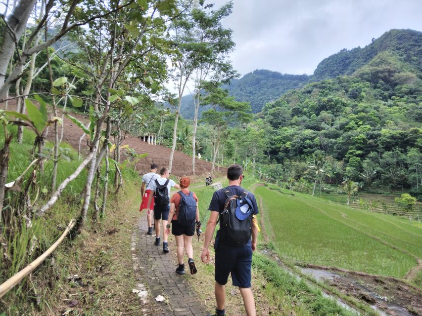 Borobudur Temple & Rice Terrace Walking to Selogriyo Temple