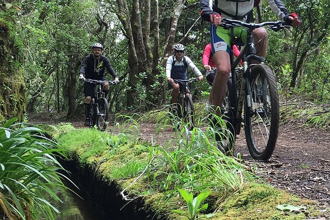 Botanical Trails of Madeira. Mountain Biking Trail Experience