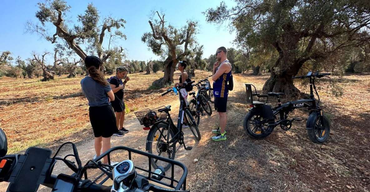 Brindisi: E-Bike Trip to Torre Guaceto Nature Reserve