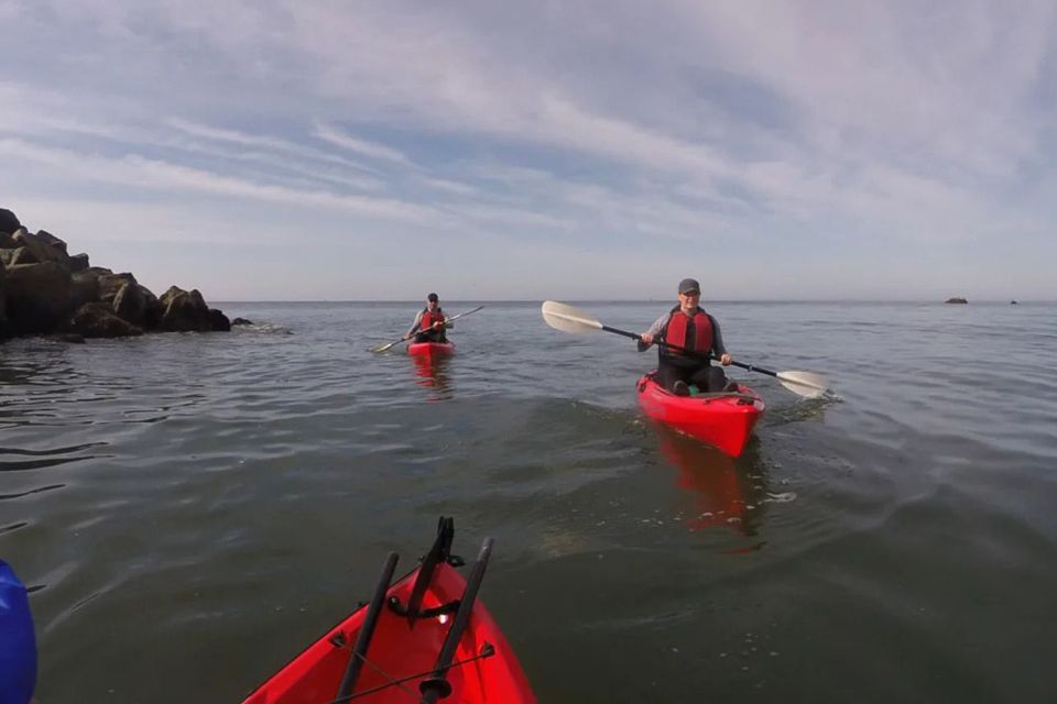 Brookings: Pacific Ocean Kayak Tour - Overview of the Tour