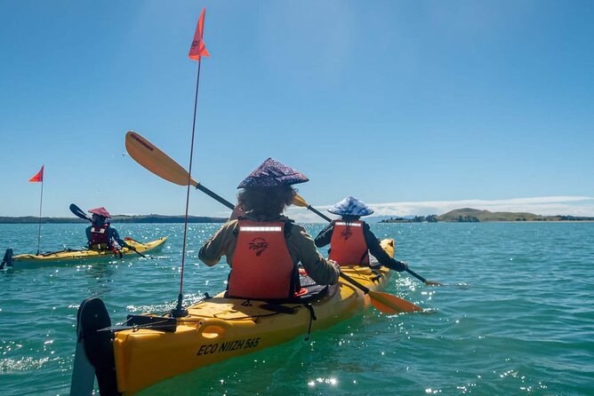 Browns Island Motukorea Sea Kayak Tour