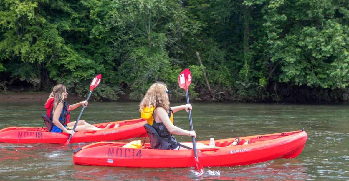 Bryson City: Fontana Lake Guided Kayak Tour