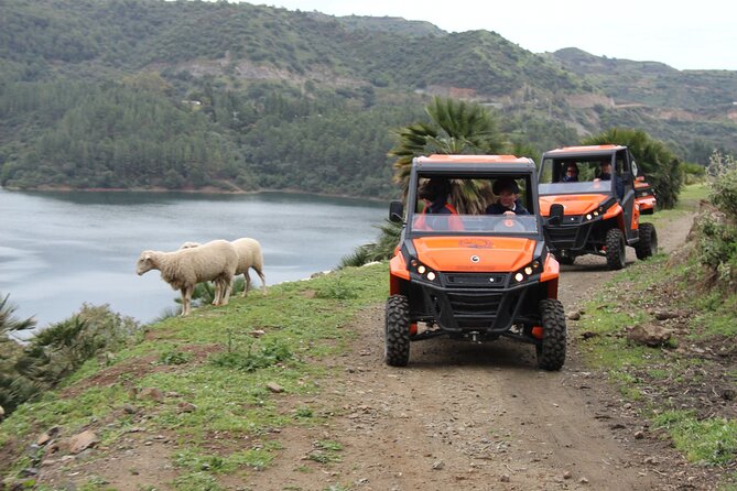 Buggy Adventure With Incredible Views of the Sea and the Reservoir - Overview of the Experience