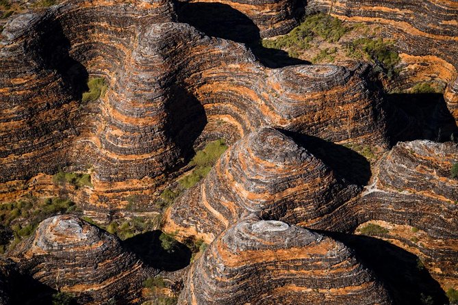 Bungle Bungle Scenic Flights, Domes & Cathedral Gorge Walk