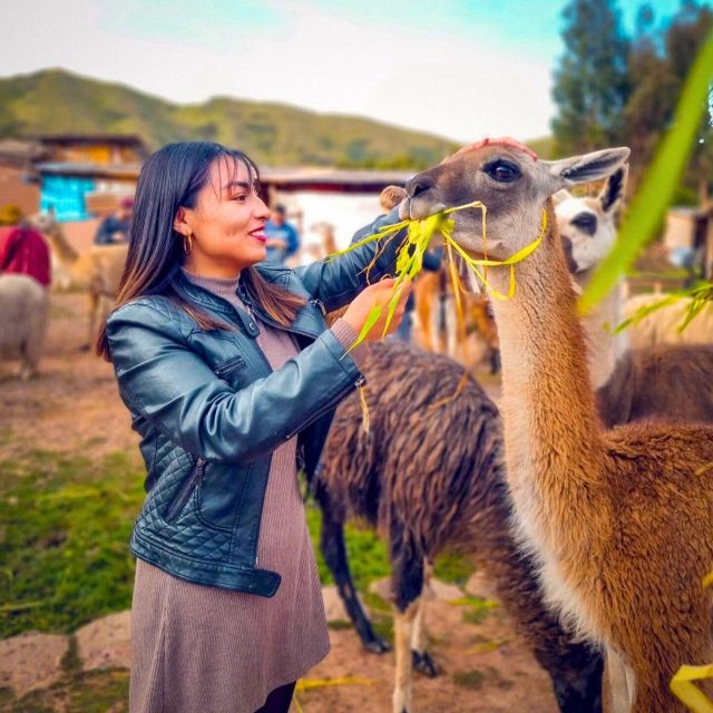 BUS 180 CUSCO