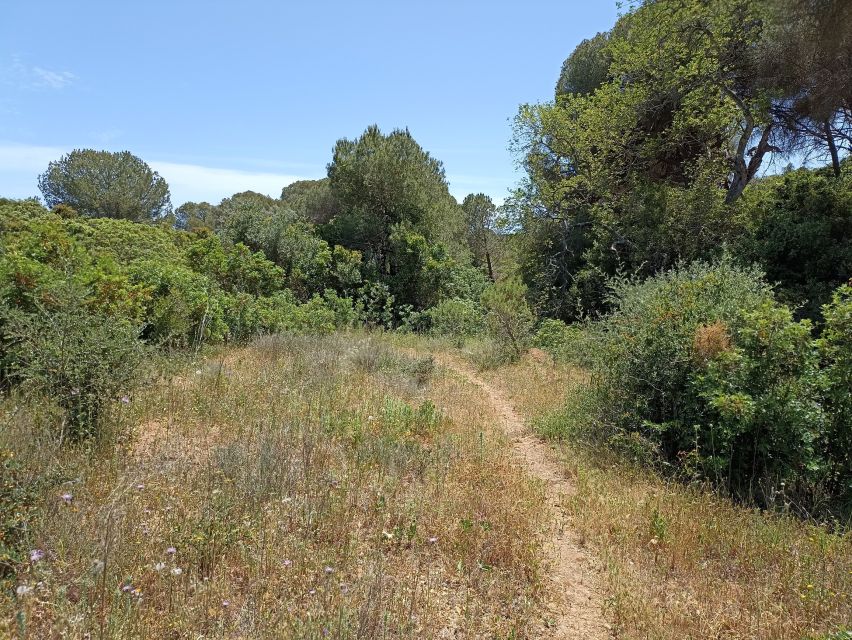 Bush Walk, Chimneys, and Wine