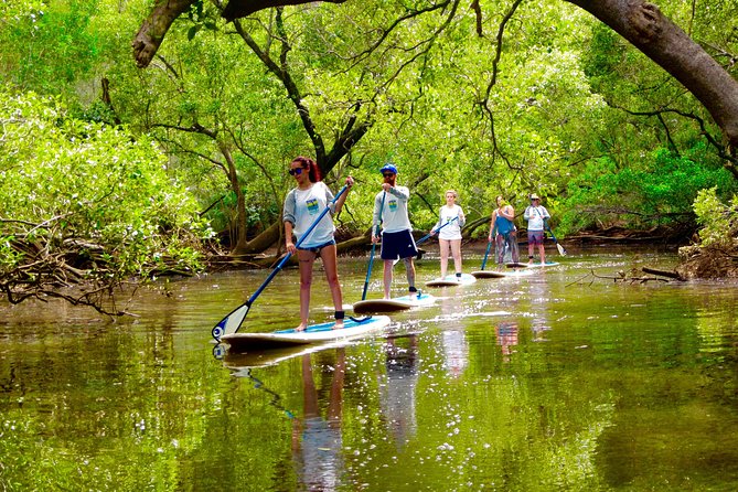 Byron Stand Up Paddle Nature Tour