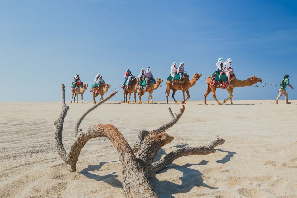 Cabo: ATV and Camel Combo Adventure Tour