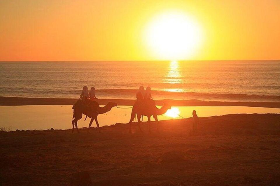 Cabo: Camel Ride On The Beach