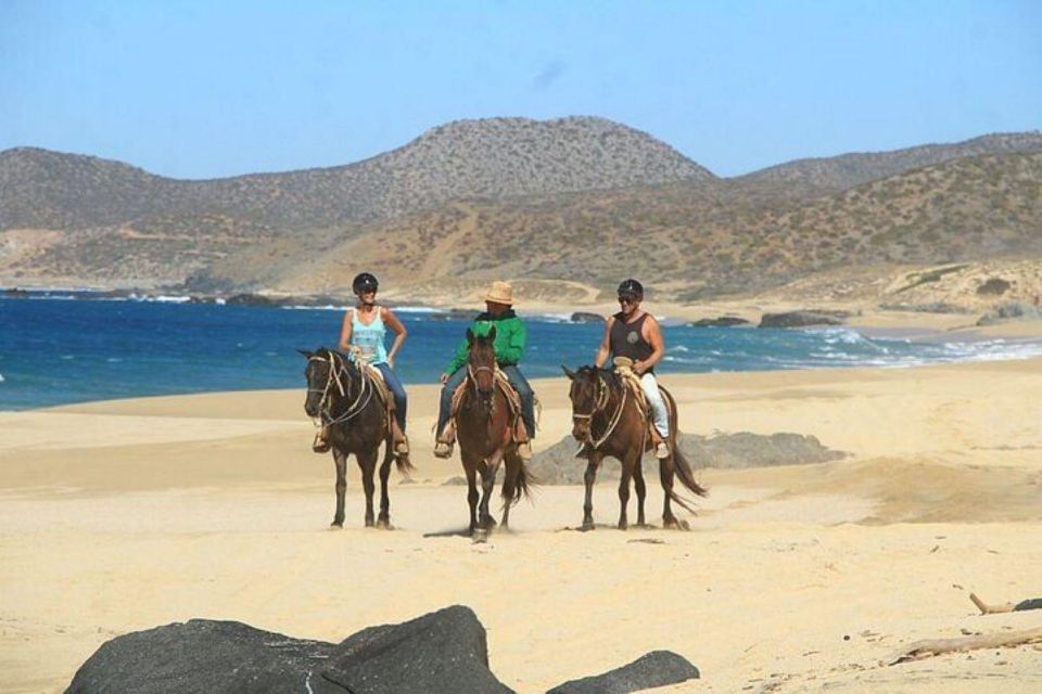 Cabo: Horseback Riding On The Beach and ATV Combo Tour