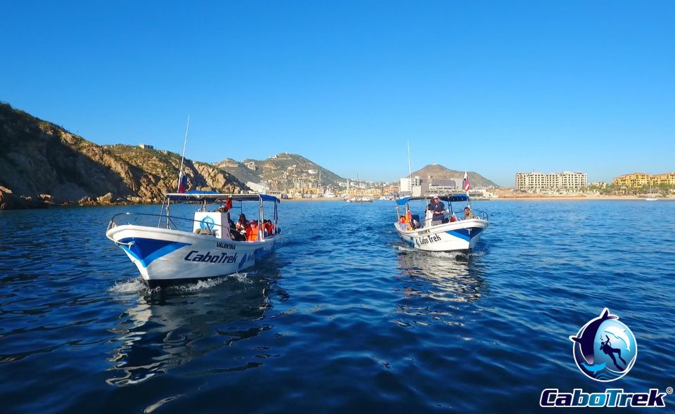 Cabo Ocean SAFARI