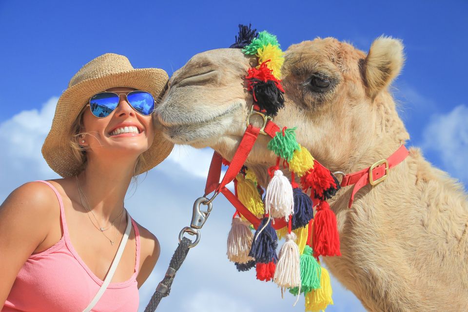 Cabo San Lucas: Camel Safari Tour With Lunch and Tequila - Exploring Bajas Desert Landscape