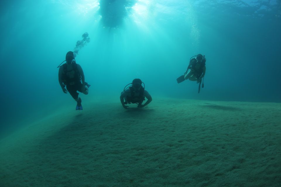 Cabo San Lucas Marine Park Scuba Diving - Overview of the Dive Experience