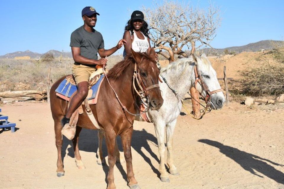 Cabo San Lucas: White Sand Horseback Adventure