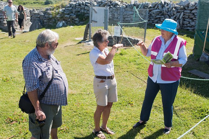 Caherconnell Fort & Sheepdog Demonstrations