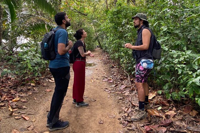 Cahuita National Park Tour and Water Experience in Puerto Viejo - Overview of Cahuita National Park