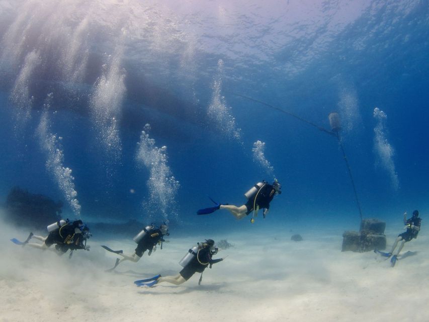 Cairns: 4-Day PADI Open Water Course - Course Overview