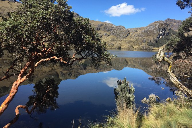 Cajas Unveiled: a Half-Day Escape From Cuenca