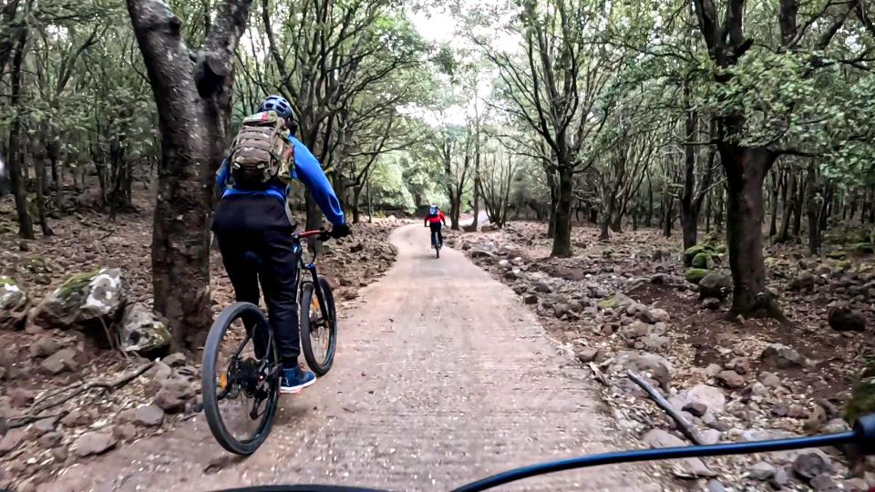 Cala Gonone and Dorgali E-Bike Tour