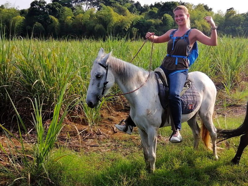 Cali: Horseback Riding - Overview of Horseback Riding