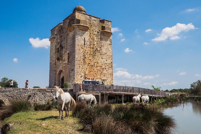 Camargue 4×4 Safari From La Grande Motte (Half Day Trip)