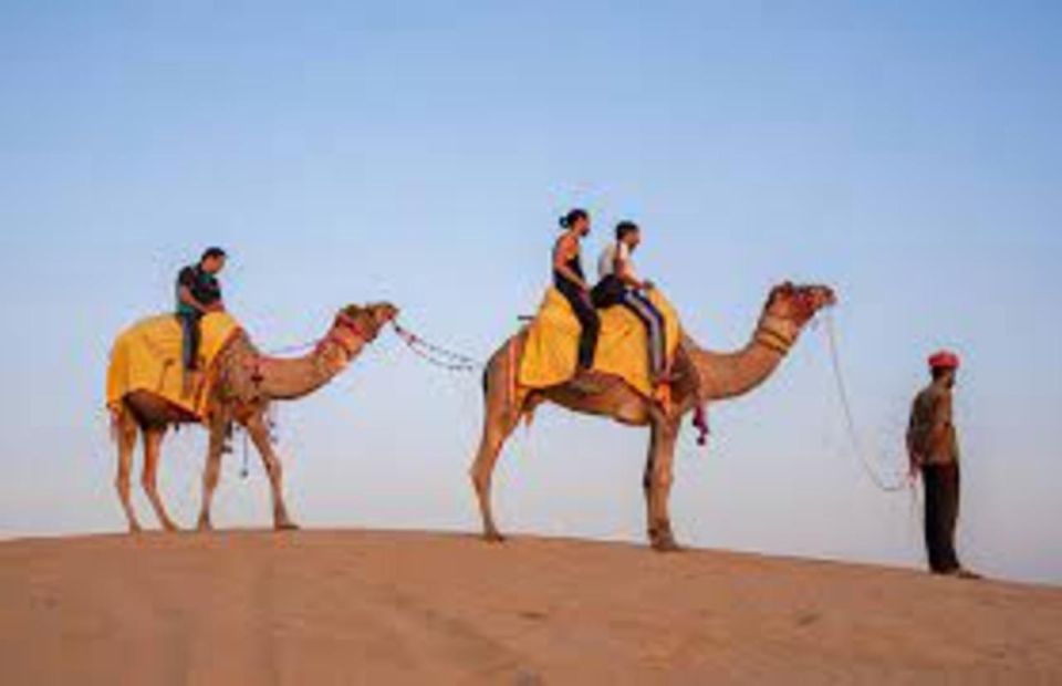 Camel Safari in Osian Desert