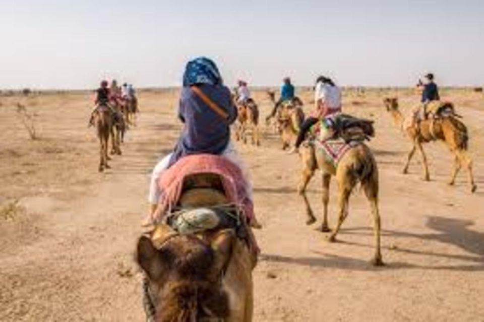 CAMEL SAFARi !n 0sian DeSERT