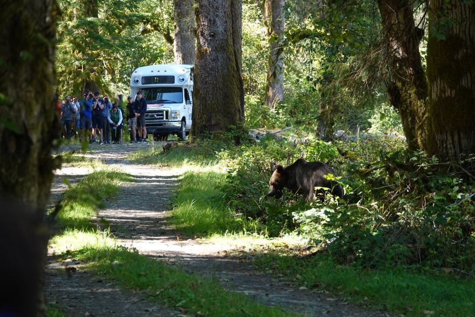 Campbell River: Bute Inlet Grizzly-Watching Tour & Boat Ride