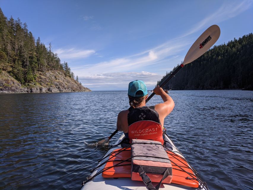 Campbell River: Kayaking and Whale Watching Tour