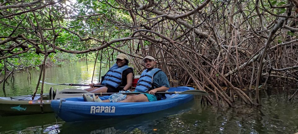 Cancun: 3-Hour Kayak Tour in Nichupte Lagoon - Overview of the Kayak Tour