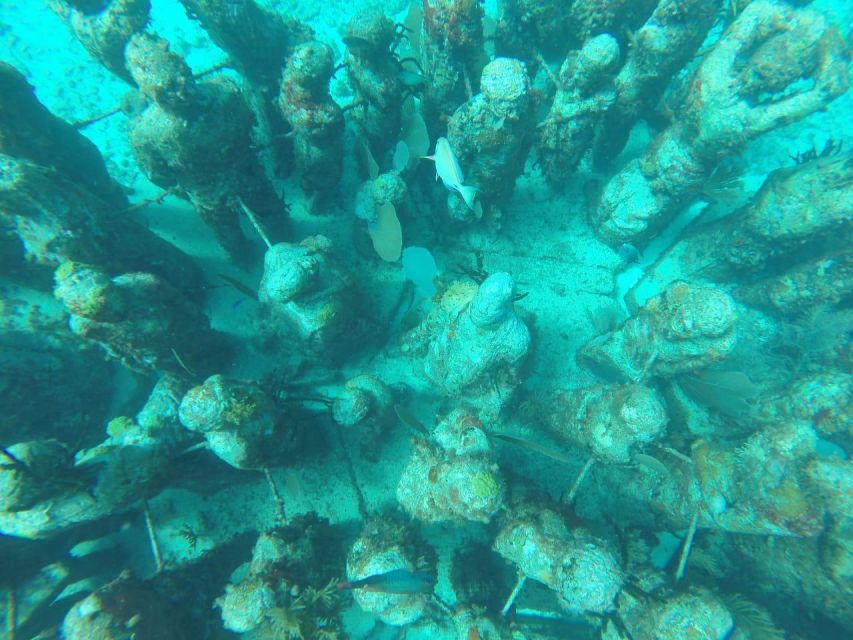 Cancun: 3-Hour Snorkel at Sunken Ship & Coral Reef - Cancun Snorkel Adventure