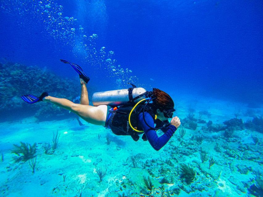 11 Best Scuba Diving Experiences In Cancun | Travel Buddies