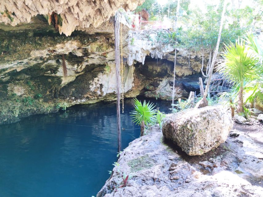 Cancun Highlights, Local Culture, Hidden Gems & Gastronomy - Mayan Museum Exploration