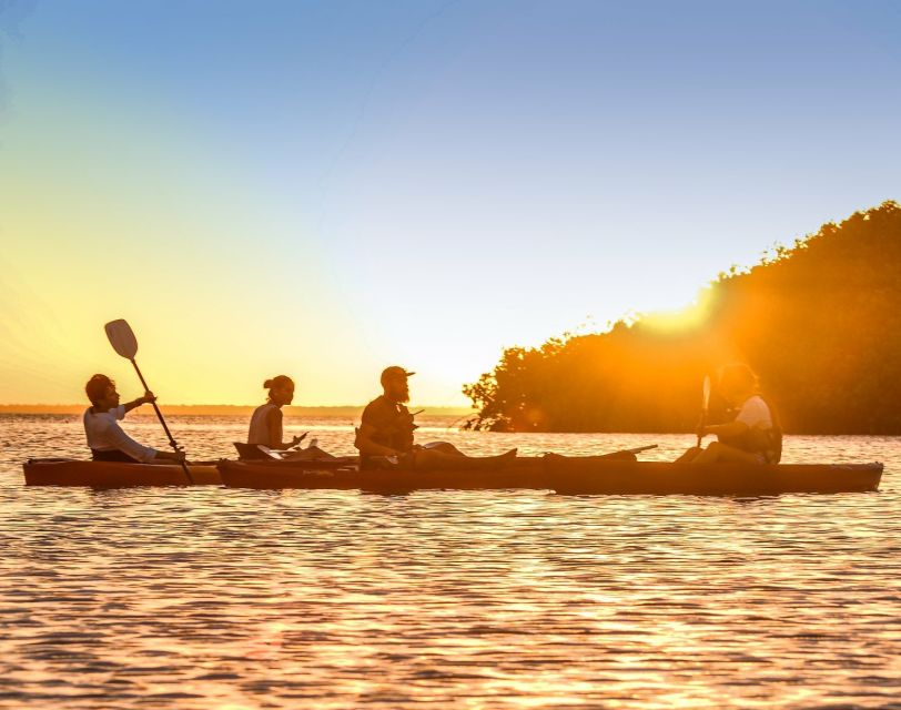 Cancún: Morning or Sunset Kayak Adventure in Nichupte Lagoon