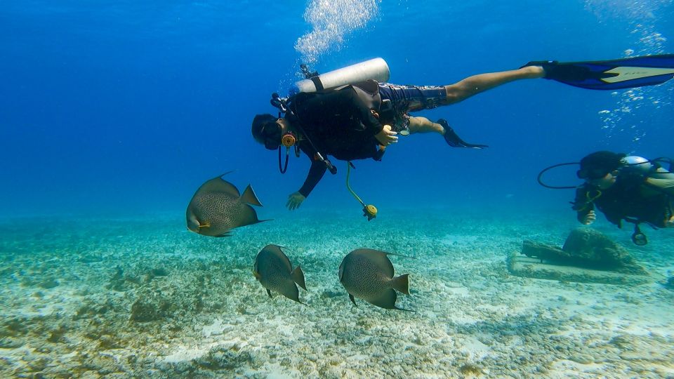 Cancun: Open Water Diving Certification Course