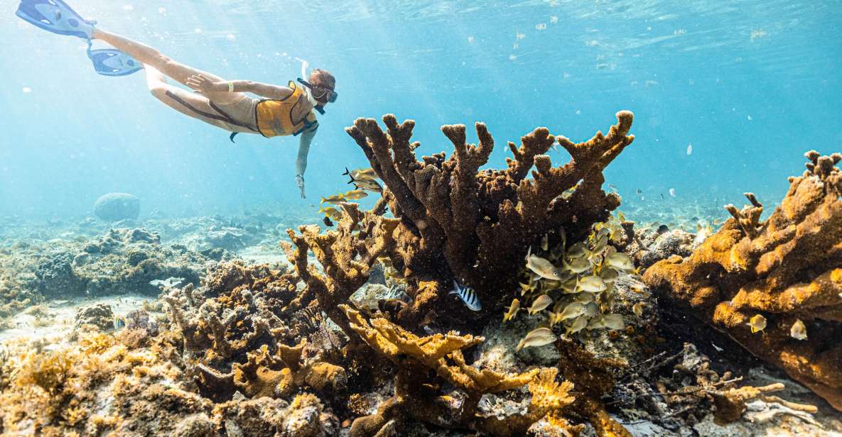 Cancun: Snorkeling Tour for Non-Swimmers