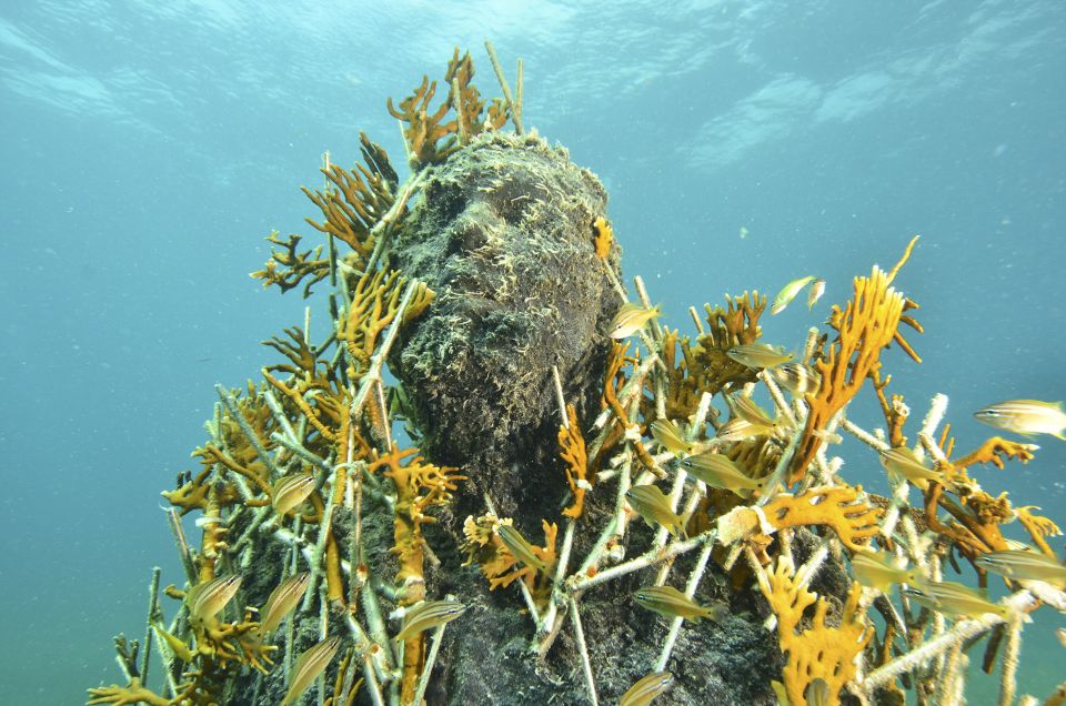 Cancún: Underwater Museum & Reef for Certified Scuba Divers