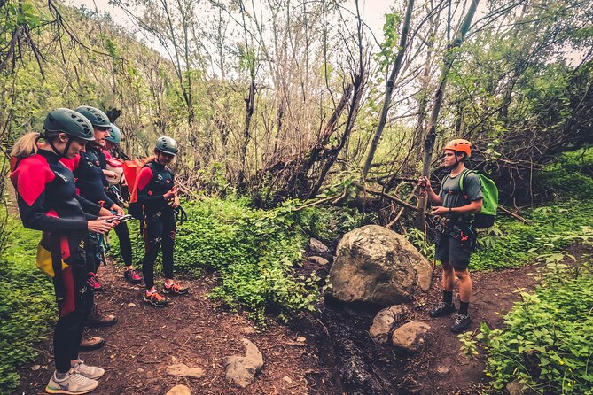 Canyoning With Waterfalls in the Rainforest – Small Groups