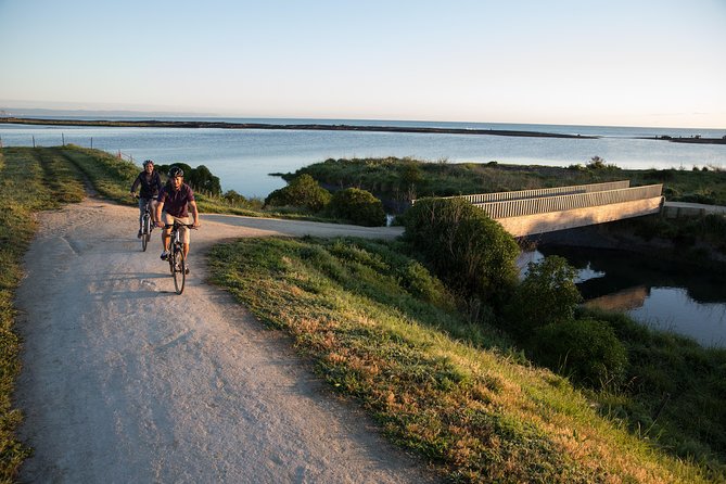 Cape Coast Wineries Self-Guided Scenic Bike Tour From Napier