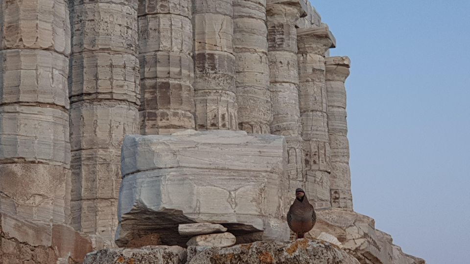 Cape Sounio:Temple of Poseidon Private Trip From Athens